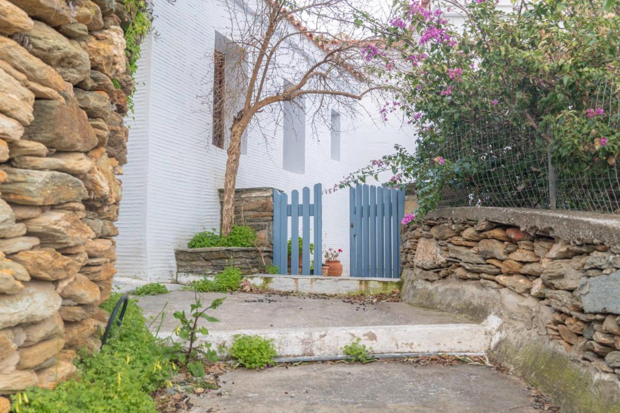 The Walnut Tree - Cycladic Getaway With Sea Views By Explore Andros Lamira Екстер'єр фото
