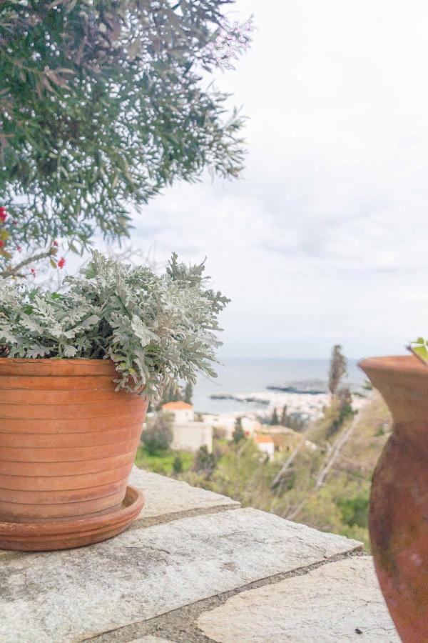 The Walnut Tree - Cycladic Getaway With Sea Views By Explore Andros Lamira Екстер'єр фото