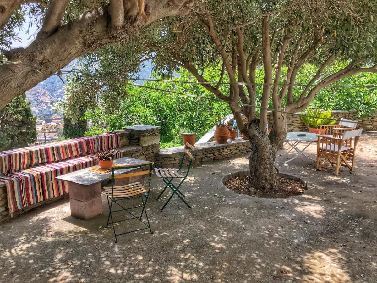 The Walnut Tree - Cycladic Getaway With Sea Views By Explore Andros Lamira Екстер'єр фото