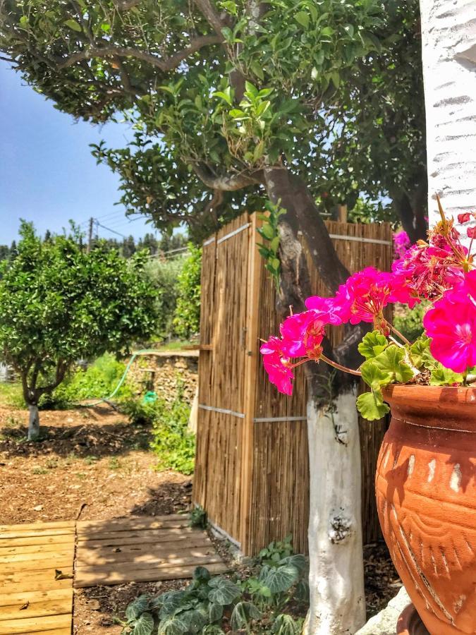 The Walnut Tree - Cycladic Getaway With Sea Views By Explore Andros Lamira Екстер'єр фото